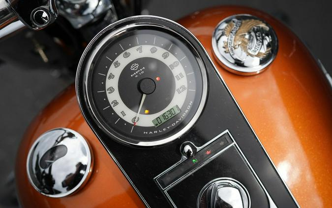 2014 Harley-Davidson FLSTN - Softail Deluxe