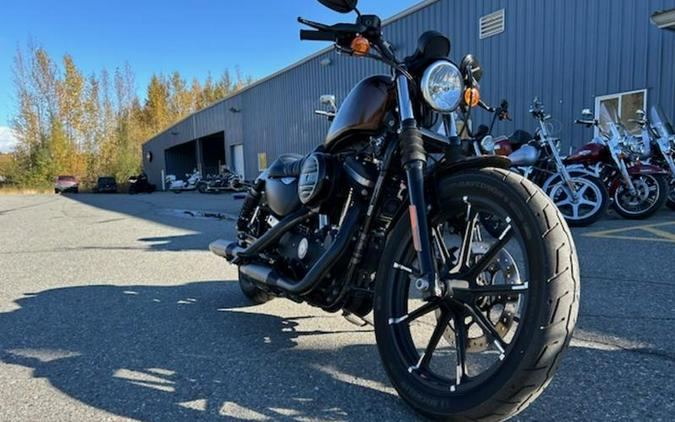 2019 Harley-Davidson® XL 883N - Sportster® Iron 883™