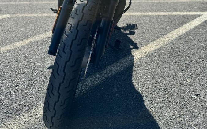 2023 Harley-Davidson Nightster Special RH975S