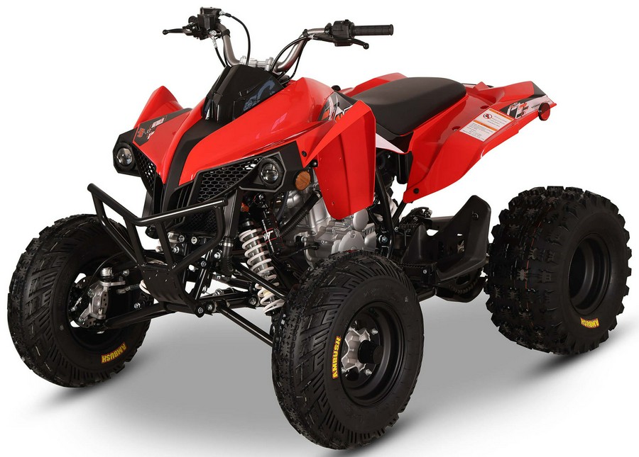 2026 Kayo Storm 300 EFI