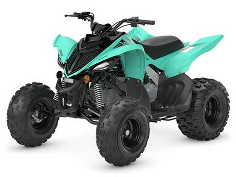 2024 Yamaha Raptor 110