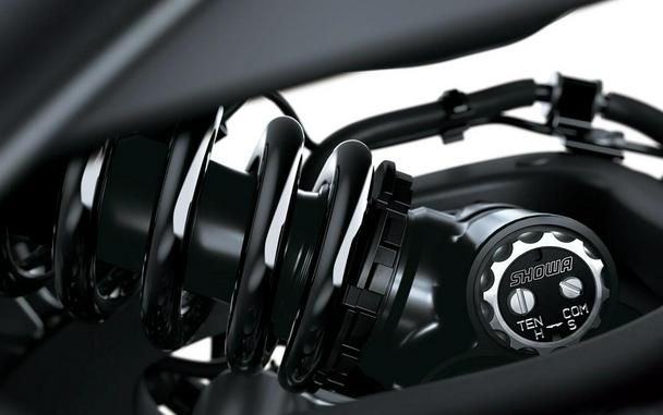 2026 Kawasaki NINJA ZX-10R ABS