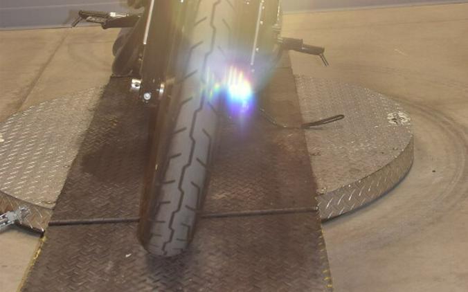 2022 Harley-Davidson Iron 883 XL 883N