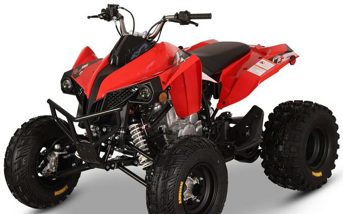 2026 Kayo Storm 300 EFI