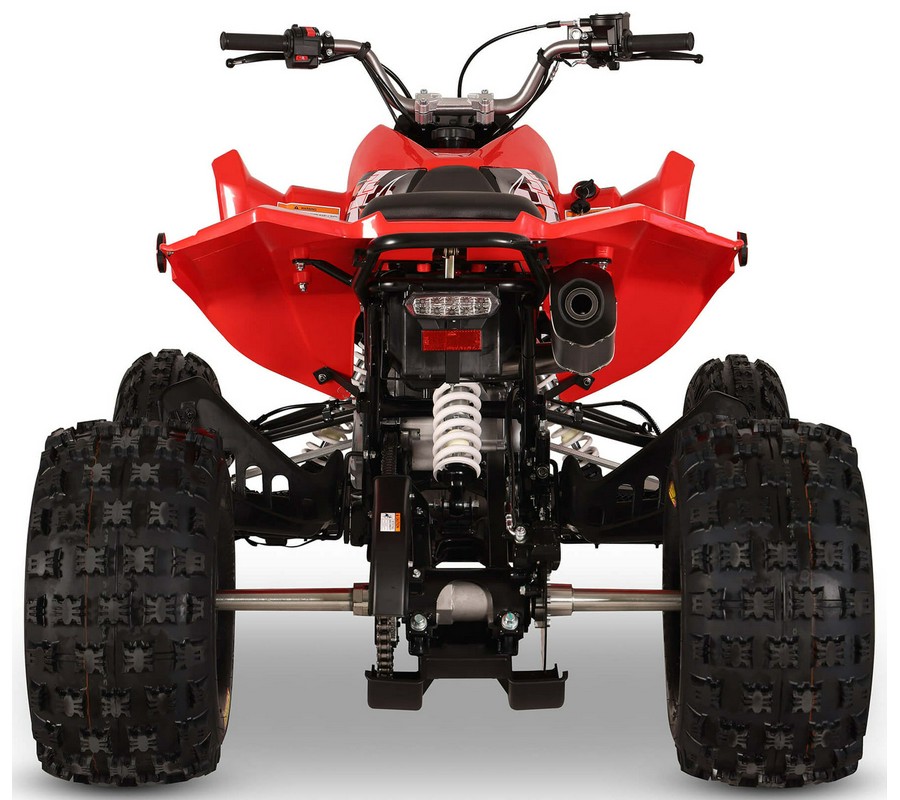 2026 Kayo Storm 300 EFI