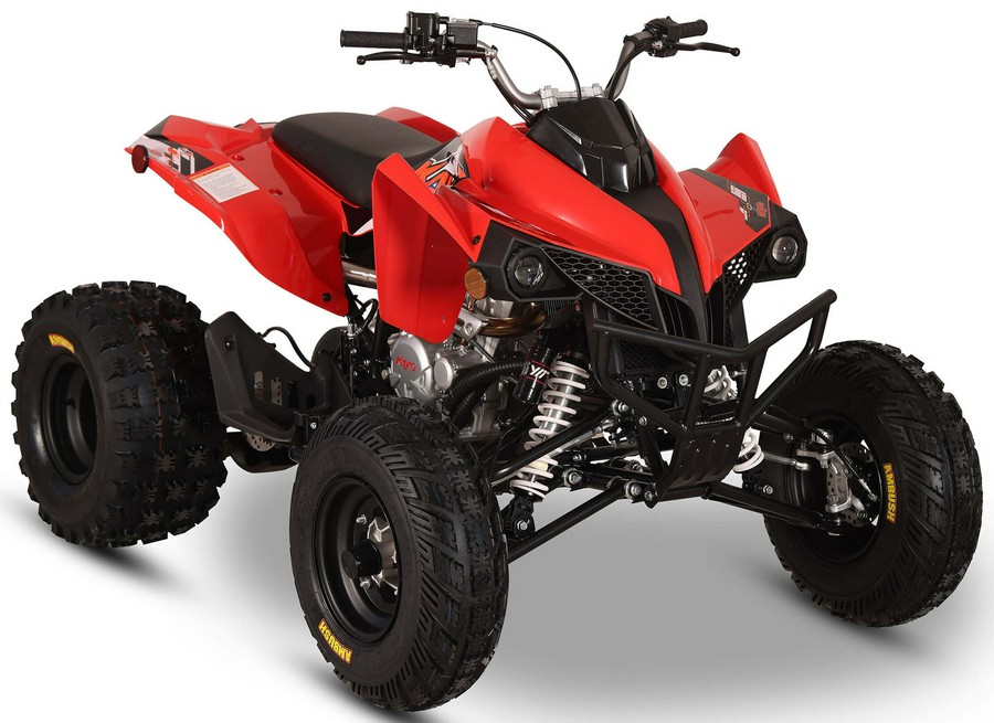 2026 Kayo Storm 300 EFI