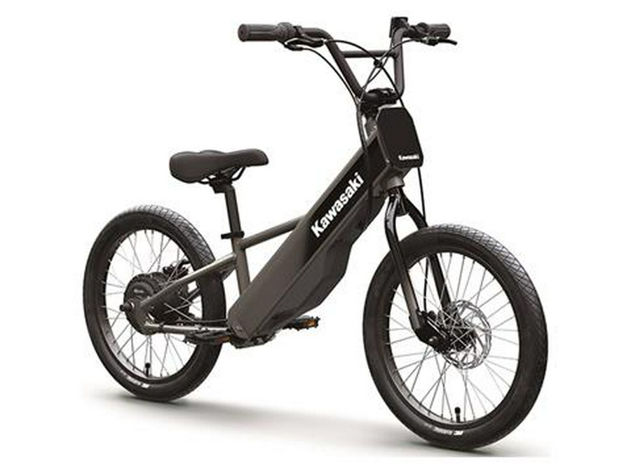 2025 Kawasaki Elektrode 20FS