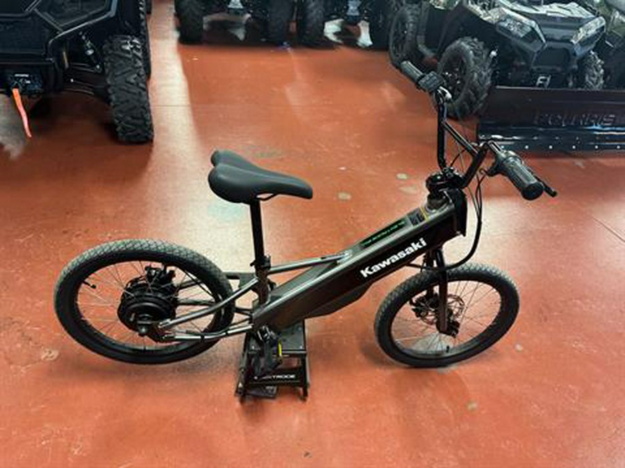 2025 Kawasaki Elektrode 20FS