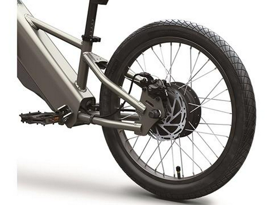 2025 Kawasaki Elektrode 20FS