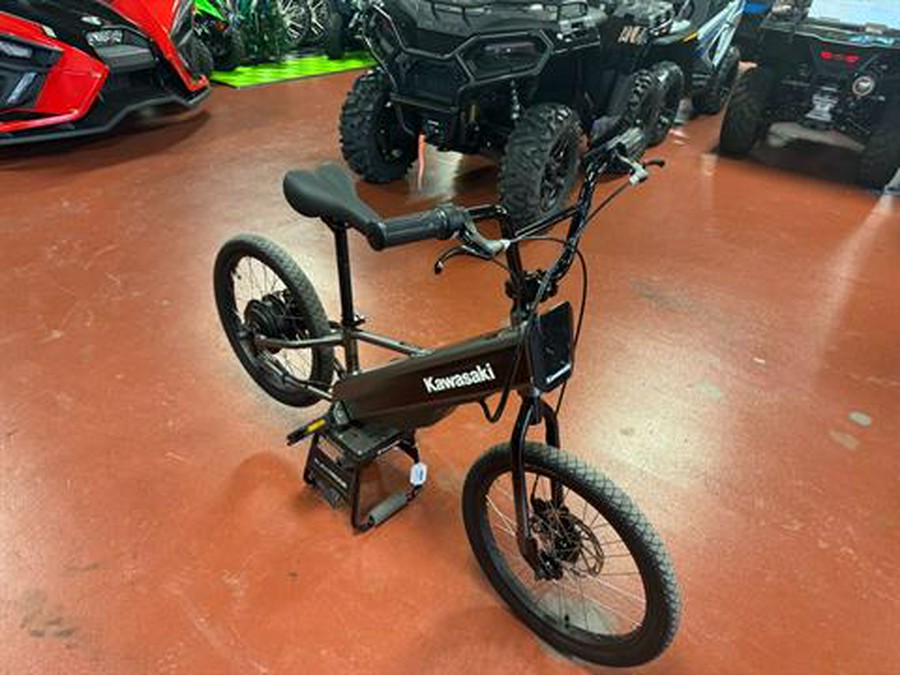 2025 Kawasaki Elektrode 20FS