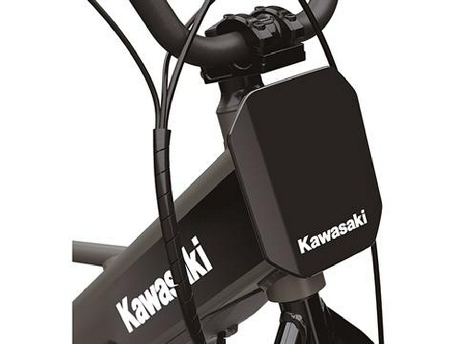 2025 Kawasaki Elektrode 20FS