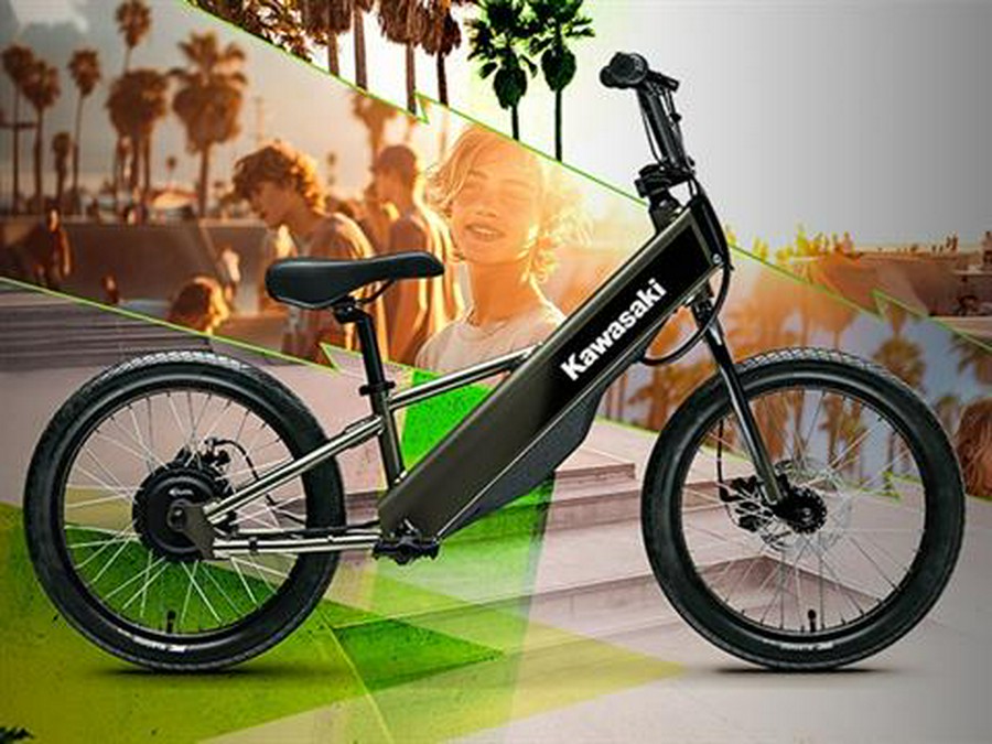 2025 Kawasaki Elektrode 20FS
