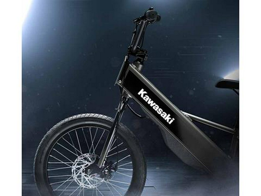 2025 Kawasaki Elektrode 20FS
