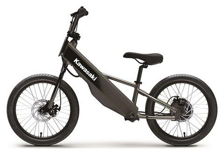 2025 Kawasaki Elektrode 20FS