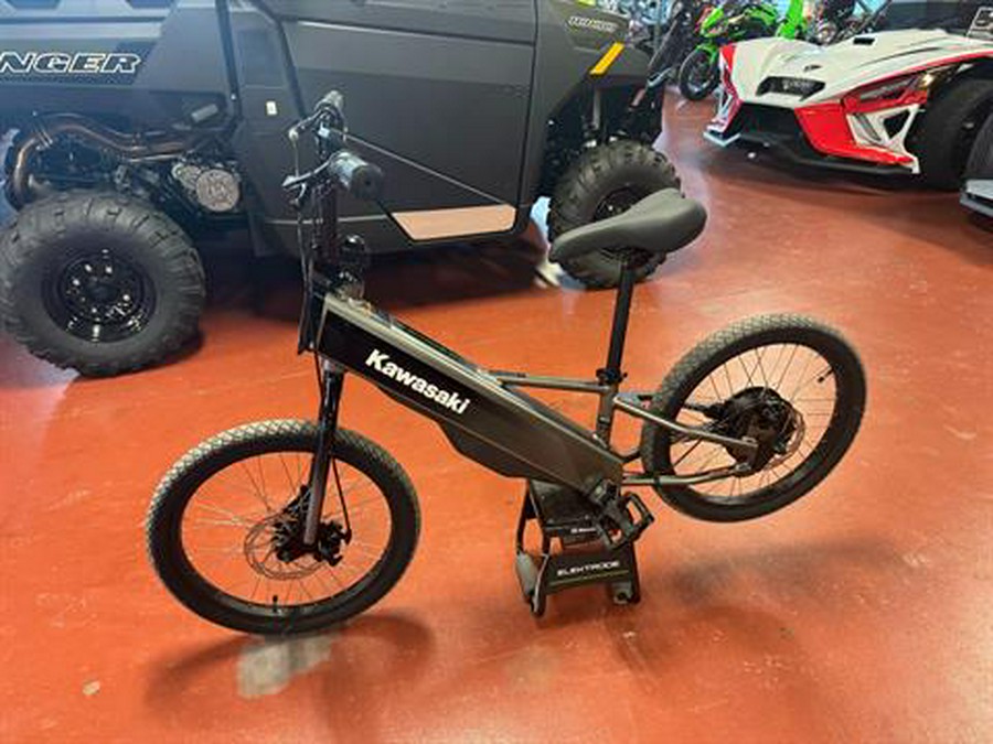 2025 Kawasaki Elektrode 20FS