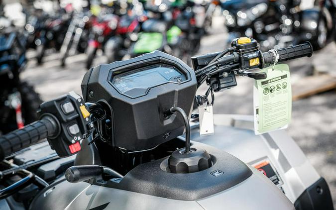 2026 Honda® FourTrax Rubicon 700 4x4 Automatic