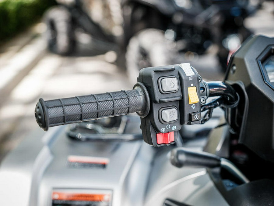 2026 Honda® FourTrax Rubicon 700 4x4 Automatic