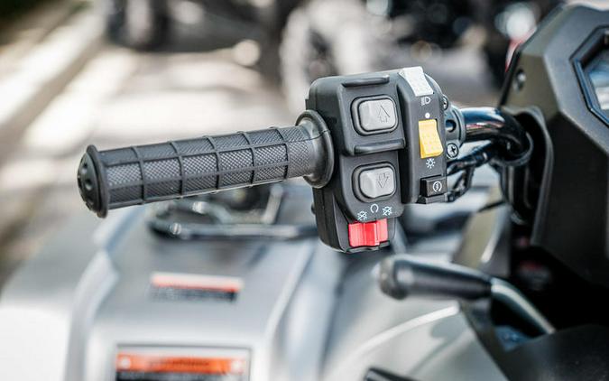 2026 Honda® FourTrax Rubicon 700 4x4 Automatic