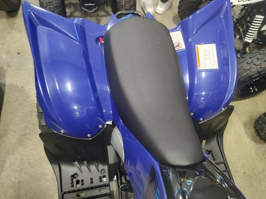 2024 Yamaha Raptor 110