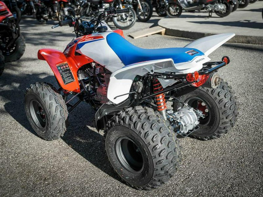 2026 Honda® TRX250X