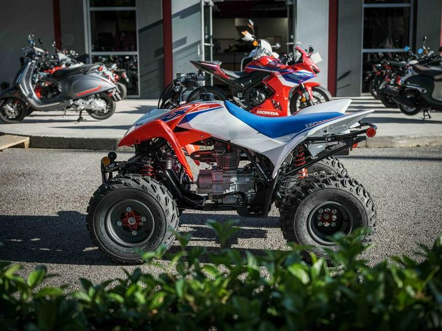 2026 Honda® TRX250X