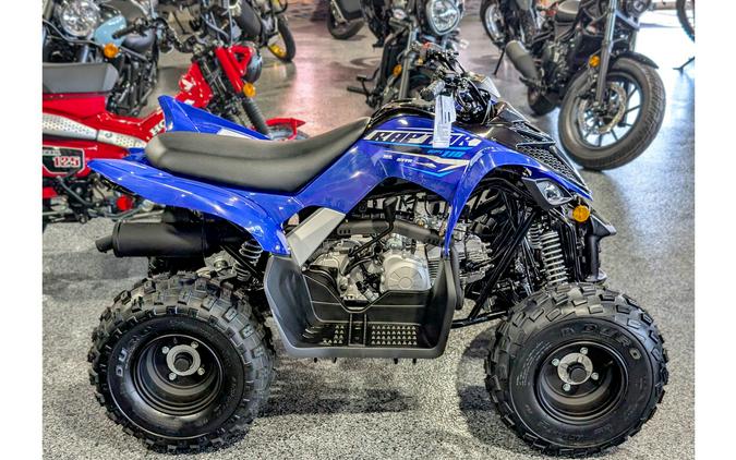 2026 Raptor 110 - Yamaha