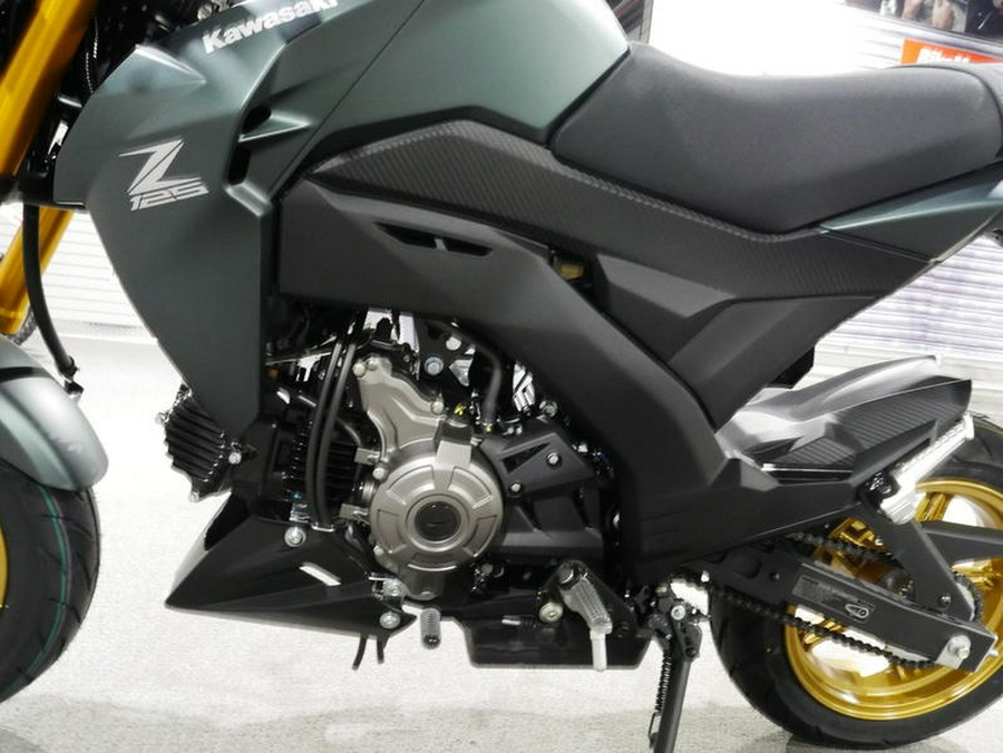 2025 Kawasaki Z125 PRO