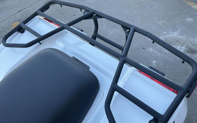 2025 Kawasaki Brute Force 450 4x4