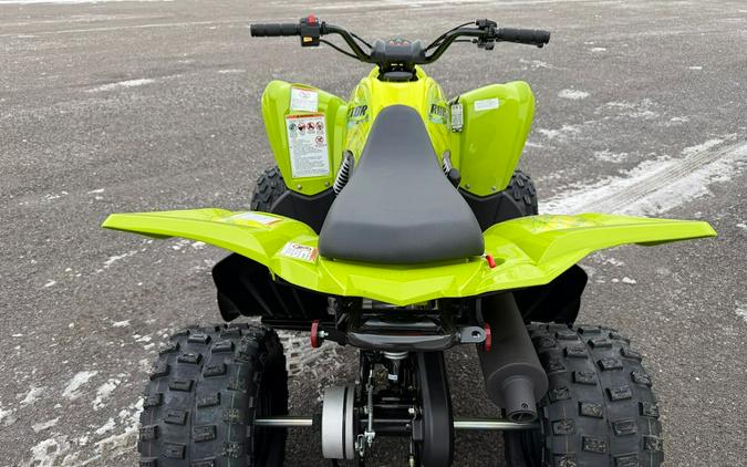 2026 Yamaha Raptor 110