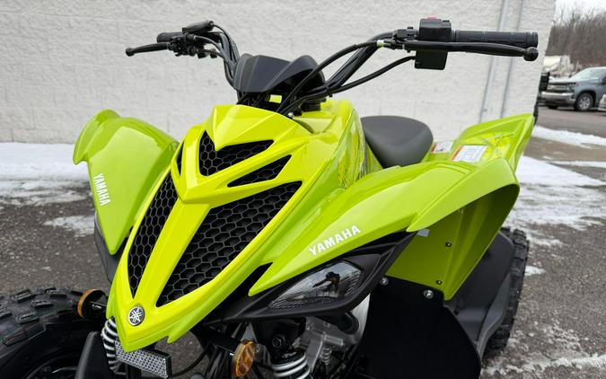 2026 Yamaha Raptor 110