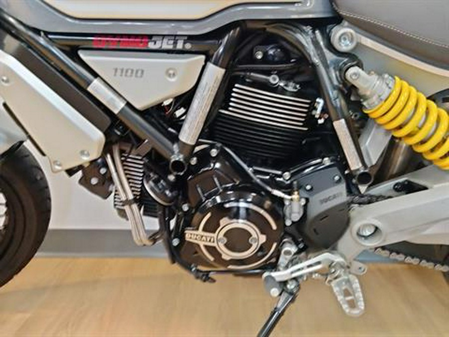 2019 Ducati Scrambler 1100 Special