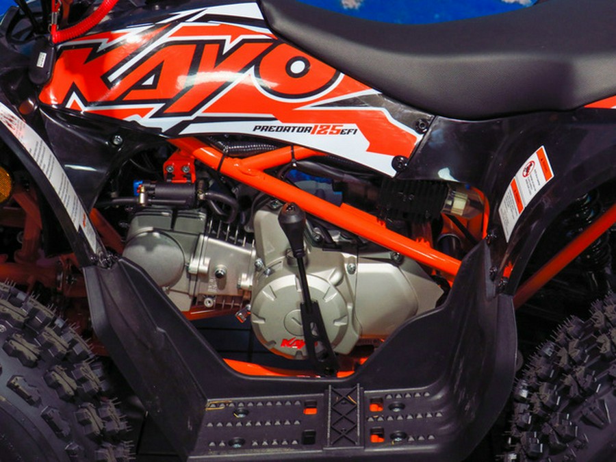 2026 Kayo Predator 125