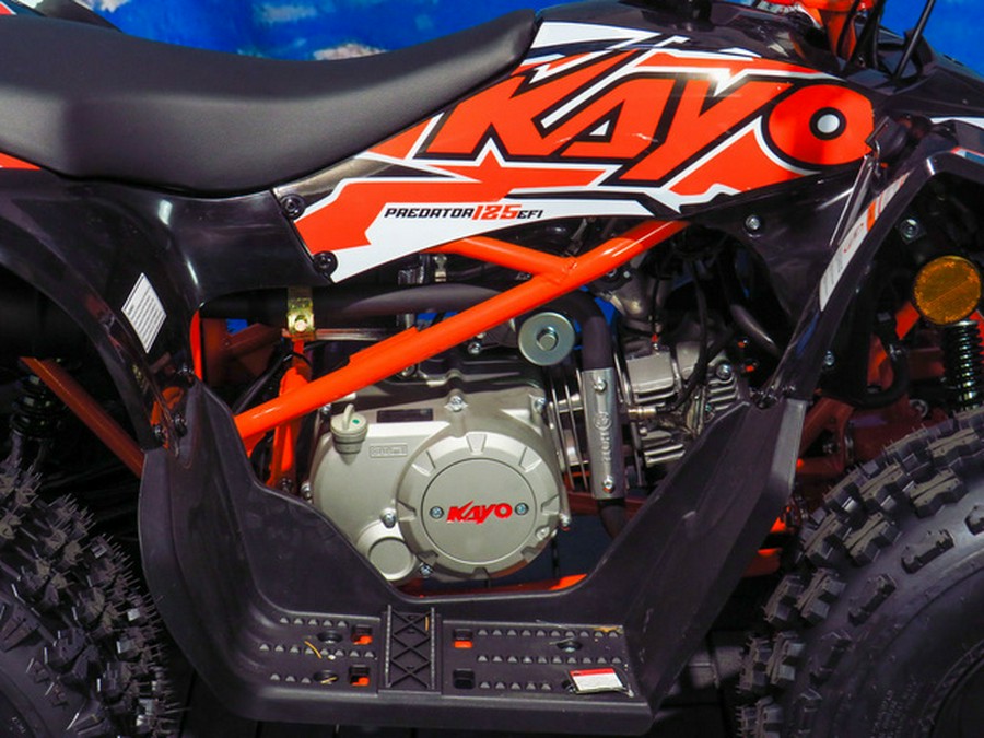 2026 Kayo Predator 125