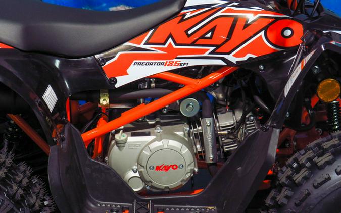 2026 Kayo Predator 125