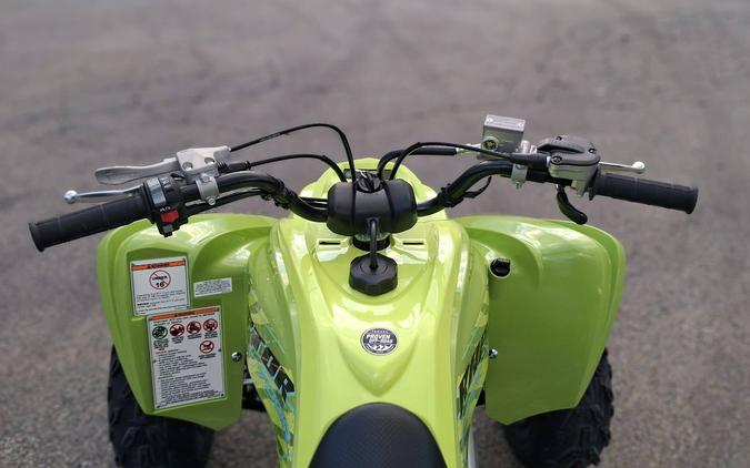 2026 Yamaha Raptor 700R SE