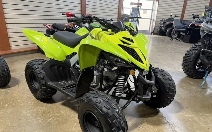 2026 Yamaha Raptor 110