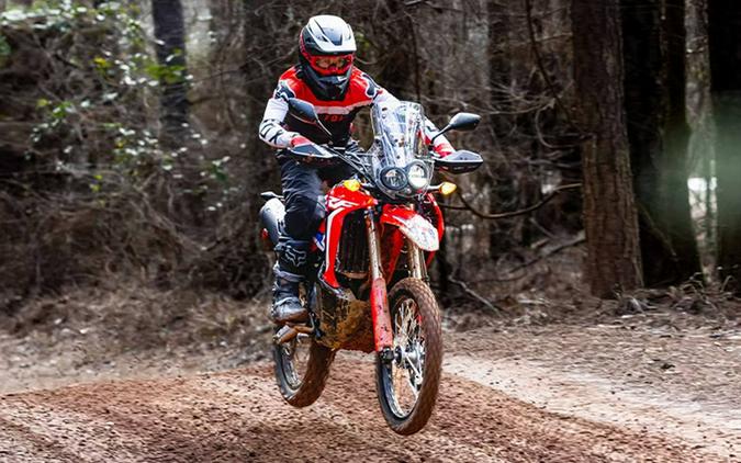 2023 Honda CRF300L Rally