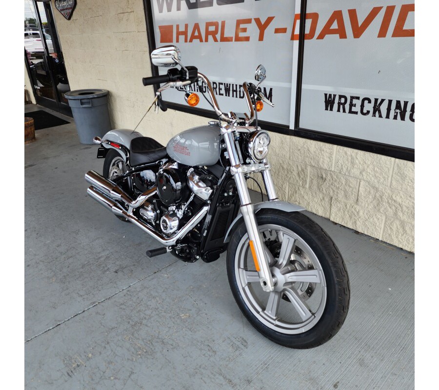 FXST 2024 Softail™ Standard