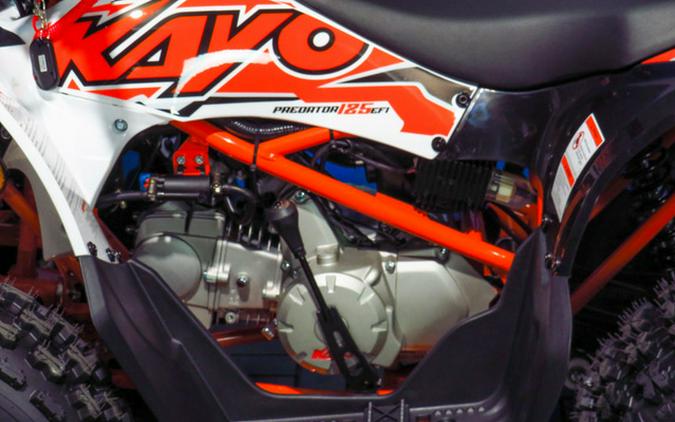 2026 Kayo Predator 125