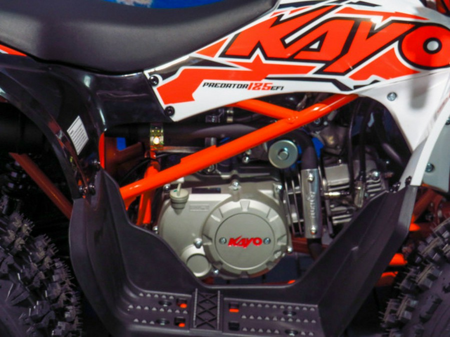 2026 Kayo Predator 125