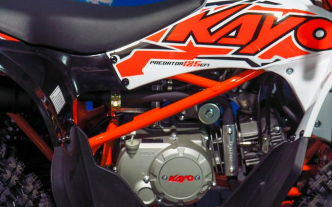 2026 Kayo Predator 125