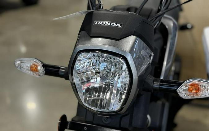 2024 Honda® Navi Arctic Silver Metallic