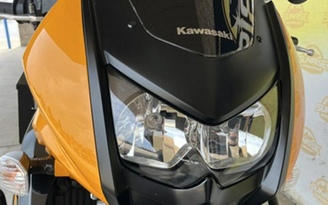 2018 Kawasaki KLR 650