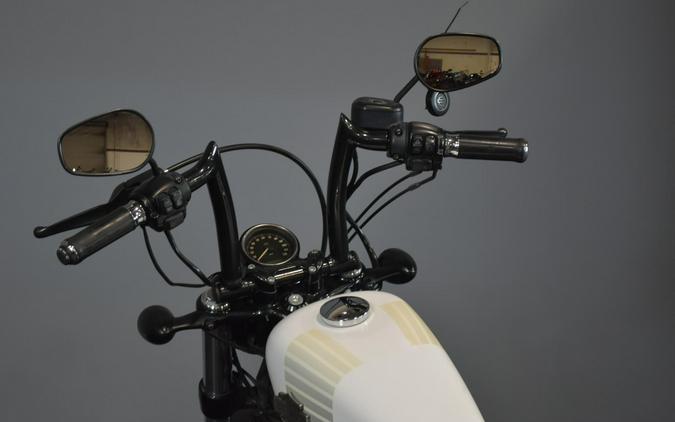 2017 Harley-Davidson Forty-Eight Crushed Ice Denim