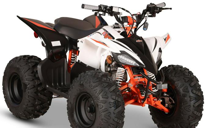 2027 Kayo Storm 110