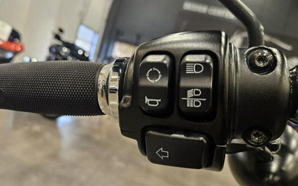 2021 Harley-Davidson XL883N - Iron 883