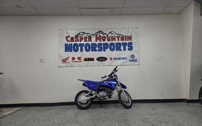 2027 Yamaha TTR110EV - Y6280
