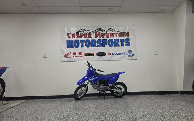 2027 Yamaha TTR110EV - Y6280
