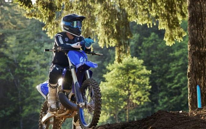 2024 Yamaha YZ 250 Team Yamaha Blue