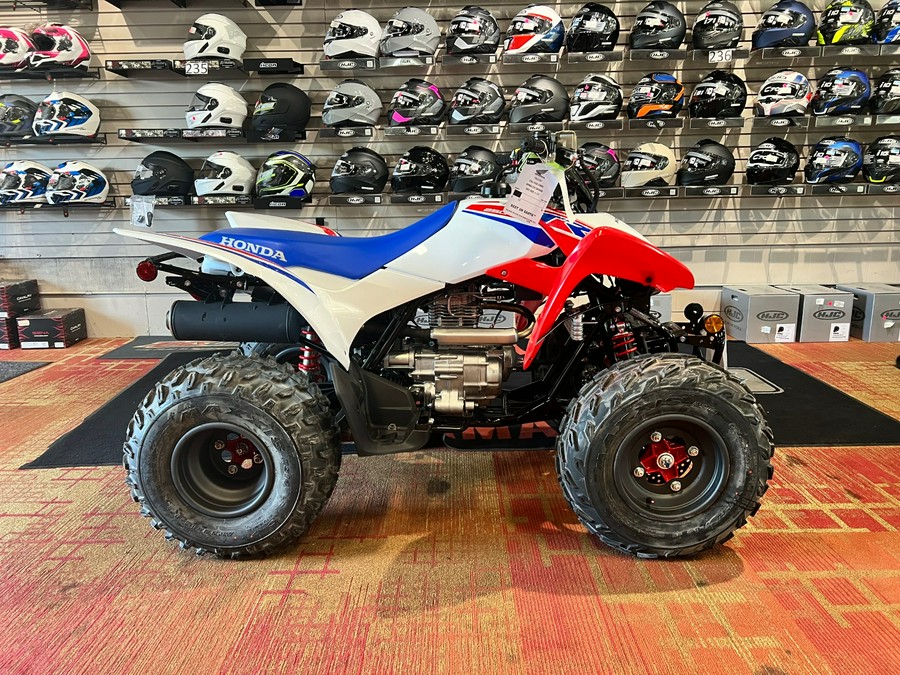 2026 Honda TRX250X